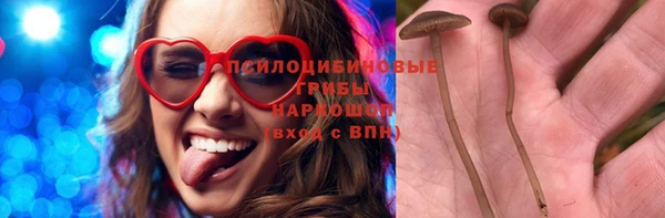 apvp Абаза