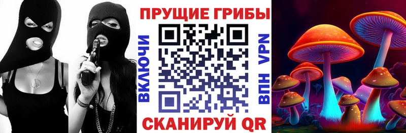 Псилоцибиновые грибы ЛСД Слюдянка