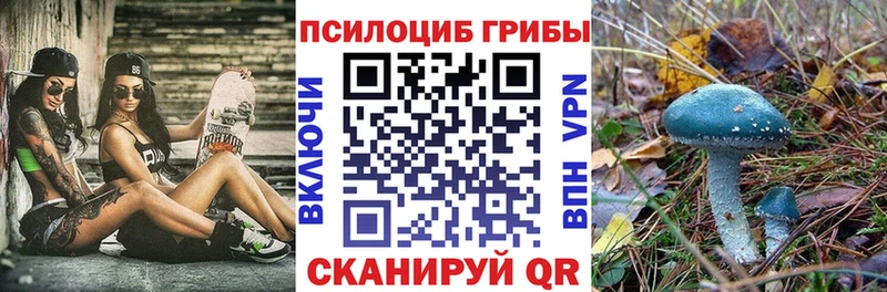 Псилоцибиновые грибы Cubensis  omg как зайти  Слюдянка 